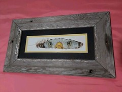 Picture of Painted Turkey Feather With Bald Eagle Eyes Beak Vtg Look Wood Frame