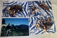 105 Nature Art Photographs 6×4” & 5.25 x4” Vibrant Colorful & 4 Post Cards
