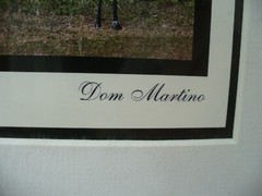 MATTED PHOTOGRAPHY Paynes Prairie Preserve Whooping Crane 20×16 Dominick Martino