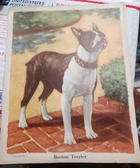 Vtg. Paper Ephemera Dog Themed