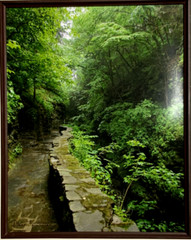 Glossy Photograph: Brook and Stone Wall. 15 in. x 12 in. Diane L. Deanna