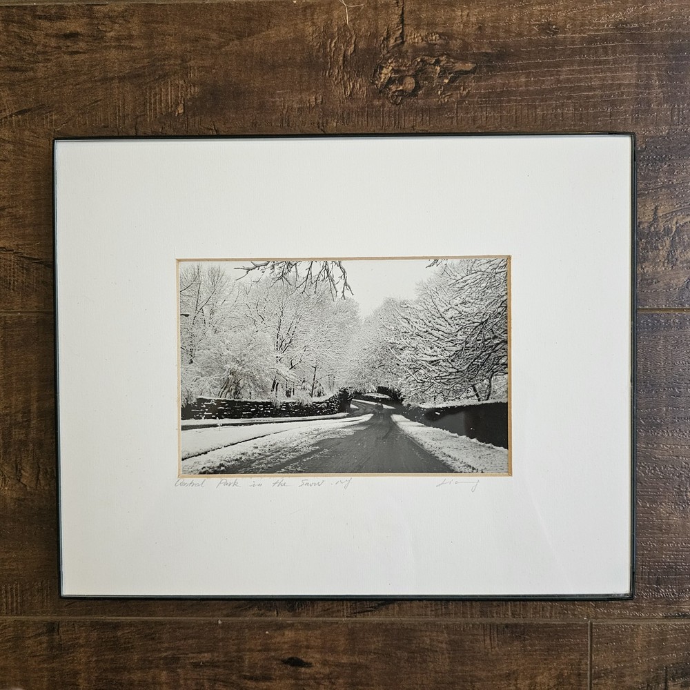 Vintage Photograph Framed Black White Signed CENTRAL PARK , NEW YORK Snow Winter