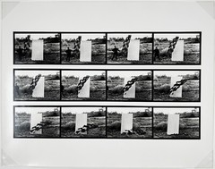 Hollis FRAMPTON & Marion FALLER: Sunflower, From Vegetable Locomotion 1975