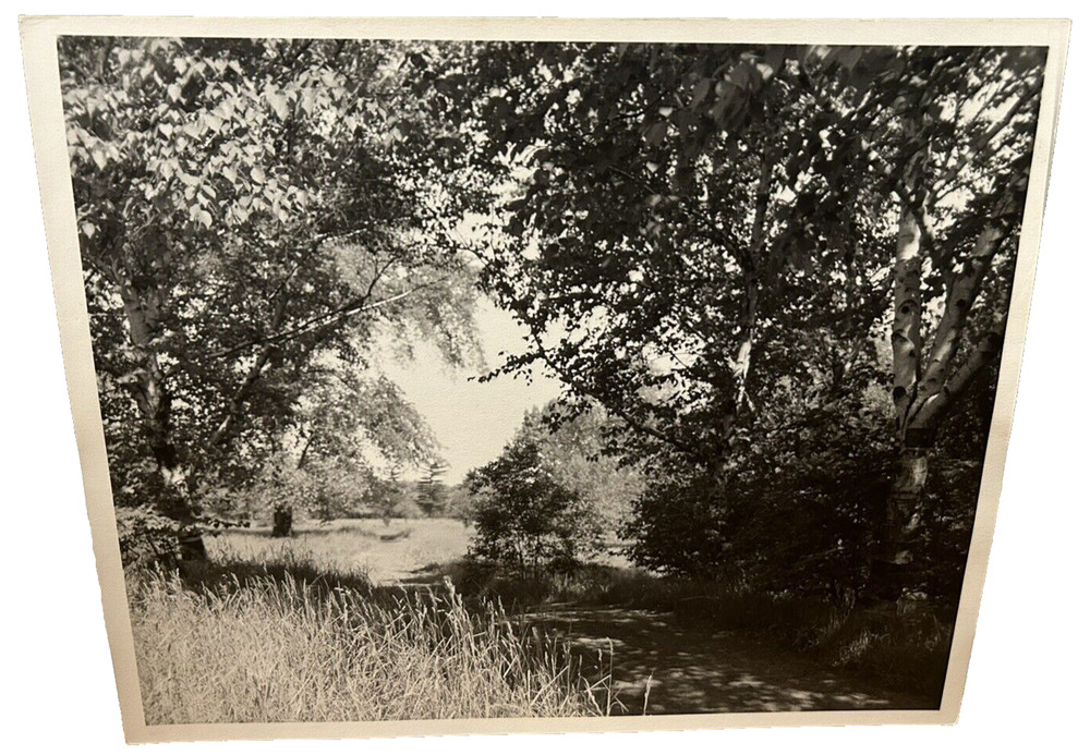 Arthur Gray Standard Oil Photographer Cleveland Ohio Americana Woodland Path Wow