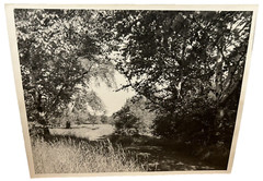 Arthur Gray Standard Oil Photographer Cleveland Ohio Americana Woodland Path Wow