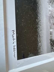 Martin Henson original black and white landscape tree photograph signed