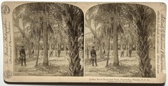 USA City Hall Indian River And Park, Rockledge Florida 1889 Photo Stereo Vintage