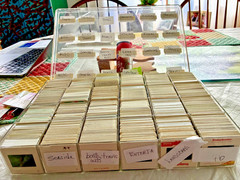 900+ Curated vintage 35 mm. slides. 1960s-80s : Koda, Eckto, and Fuji chrome.