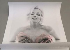 BERT STERN ~MARILYN MONROE ROSES, 20 x 24 Pink Roses-Signed + Hand Painted