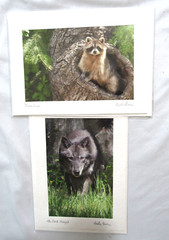 Lot Of 2 Martha Moore Original Signed Art Photography Postcard Envelope