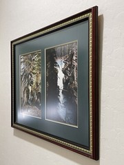 Set of Photos Framed Banff and Jasper National Parks Photos Canadian Rockies