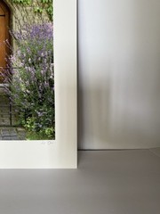 Dennis Barloga Photography Print, «Lavender Cottage” England signed 14 x 11”