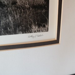 Mittens & Thundercloud by Anthony Beckesh 20 x 23 1/2″ B&W Photograph (READ)