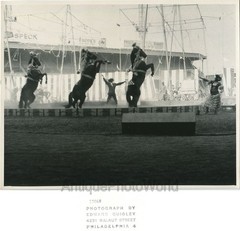 Circus animal trainer on stage w horses vintage art photo by Edward Quigley