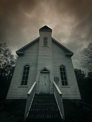 Nature, Landscapes, Birds, Animals, Coastal Scenery, Church Building