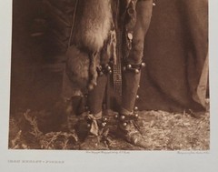 Edward S. Curtis «Iron Breast – Piegan» From Original 1900 Photogravure Negative