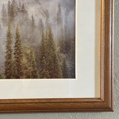 Rodney Lough The Little Rock That Could Yosemite Framed Fine Art Photograph MINT