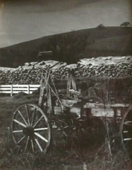 JOHN HALEY RARE CALIFORNIA CA CALIF LISTED PHOTOGRAPH MODERNISM Black and White