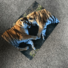 Tiger Love Photography Print 16×24 (2of3)