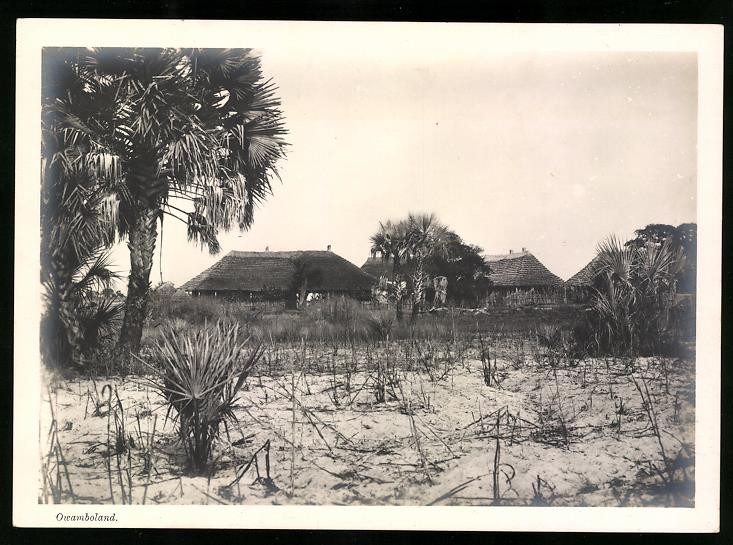 Photograph Ovamboland / German South West Africa DSWA, huts of the natives