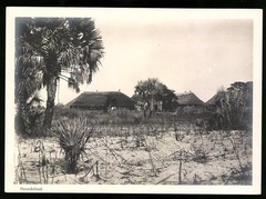 Photograph Ovamboland / German South West Africa DSWA, huts of the natives