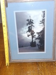 Framed Color Landscape Photograph Print, Winter Trees in Snow, Portrait