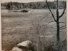 WATER AND TREES LARGE ORIGINAL SIGNED ART PHOTO B&W STETTNER VTG MATTE NJ CAMERA