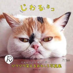 Chuckle-Inducing Cats Hilarious Photo Album