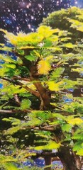 David Harrison Digital Photography Acrylic Art Chicago Botanic Garden Bonsai ’17