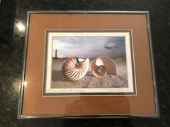 ORIGINAL Kjell B. Sandved NAUTILUS SHELL ART PHOTO Hand Signed L.E. Triple Mat