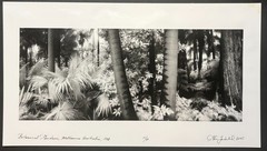 Original GEIR JORDAHL ‘Botanical Gardens Melbourne Australia’ Plants PHOTOGRAPH