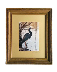 Louisiana Heron Art Photo La Freniere Park – Framed, Matted & Numbered 10/50