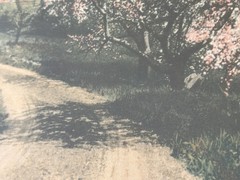 Wallace Nutting Hand-Colored Landscape Print, Decked as a Bride, Label Numbered