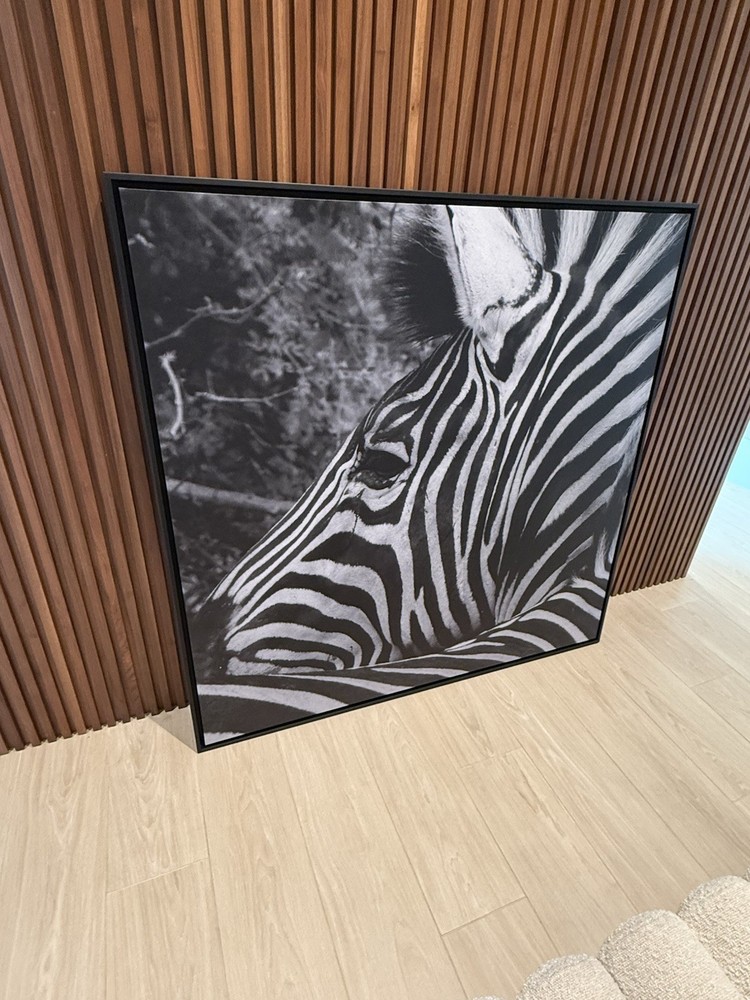 Zebra Black And White Canvas ORIGINAL photograph Print WITH Frame 49”x49”