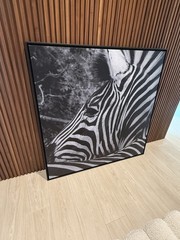 Zebra Black And White Canvas ORIGINAL photograph Print WITH Frame 49”x49”