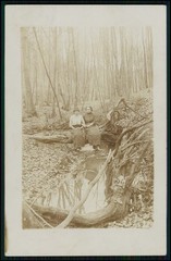 12x Real Photo Postcard Portrait People Groups in Forest and Nature 1910-1920s