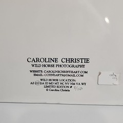 Horse Photograph Lot of 3 Equestrian Caroline Christie Signed Matted