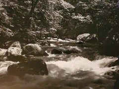 BABBLING BROOK ORIGINAL SIGNED ART PHOTO B&W STETTNER VTG MATTE NJ CAMERA
