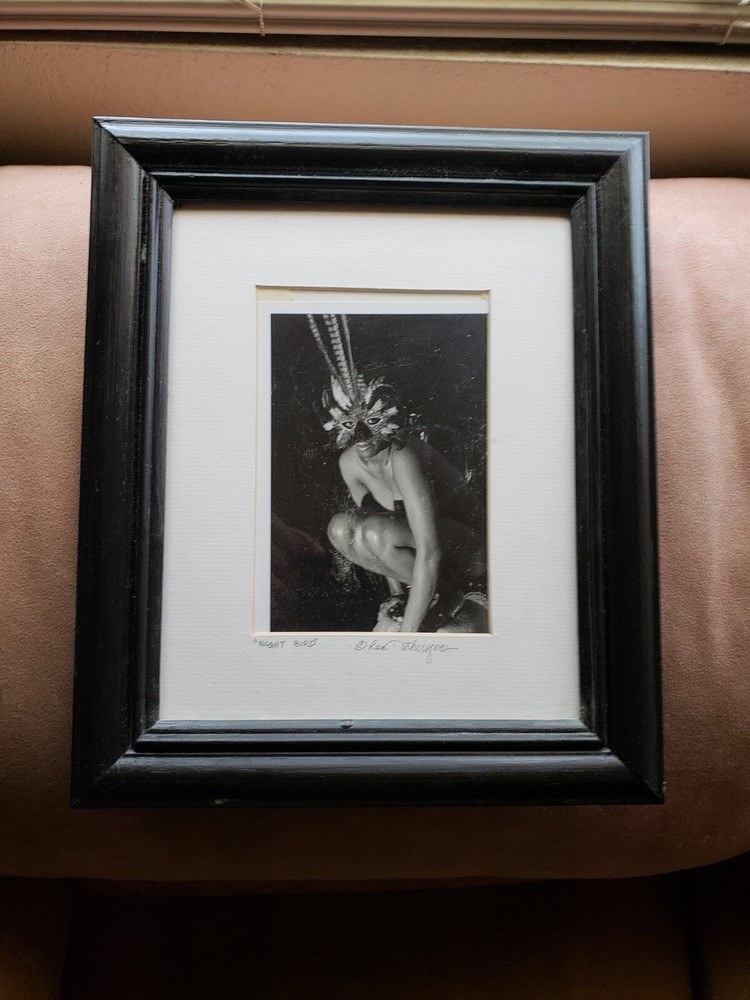 «Night Bird «10x11x1 Photograph Art In Wood Glass Frame.