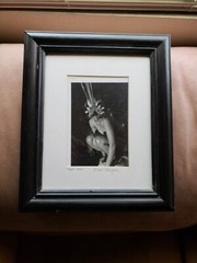 «Night Bird «10x11x1 Photograph Art In Wood Glass Frame.