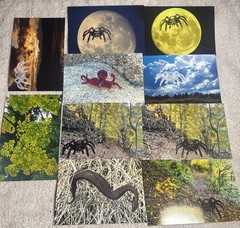 105 Nature Art Photographs 6×4” & 5.25 x4” Vibrant Colorful & 4 Post Cards
