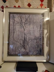 Eliot Porter Print Redbud Tree In Bottom Land Formatting’s Professional Framed