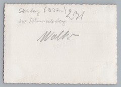 Steinberg near Schmiedeberg Kovářská Bohemia Czech Republic – Wood Pile – Photo 1930s