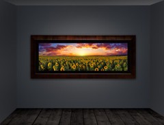 Limited Edition Acrylic Mounted Metallic Fine Art Photograph