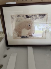 Framed Matted Polar Bear Wildlife Color Landscape Photograph Animals Nature