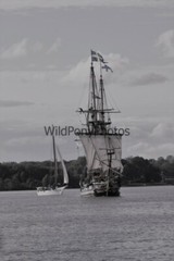 Tall Ships from Sultana Downrigging Festival, Pick One Image – Various Sizes
