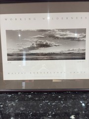 Jay Dusard Framed Signed Limited Edition Photograph Working Wilderness # 58/500
