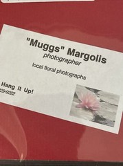 Flowers Photography by: “Muggs” Margolis Framable Art 5 X 7 New