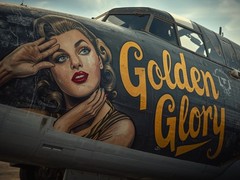 Photo 15×20 WWII “Golden Glory” Nose Art Pin-Up Vintage Fuselage 55