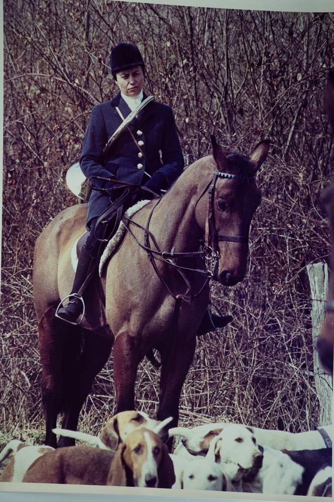 Vintage Analog Photo France Hunting Foxhunting Horse 24X30Cm 1970